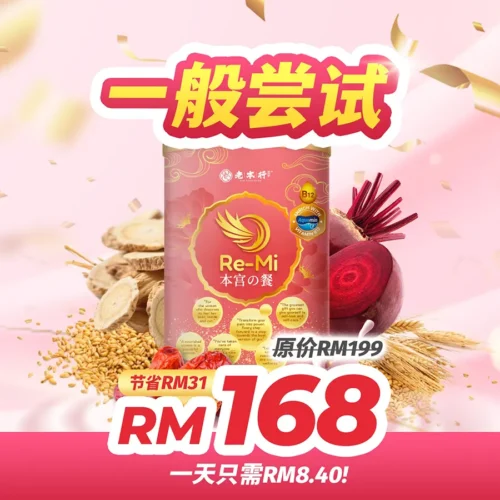 Re-Mi Nutritional Multigrains